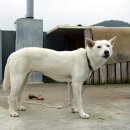 이용복농장 이미지