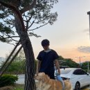 충남대학교 수의과대학 부속동물병원 이미지