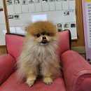 사림동149 이미지