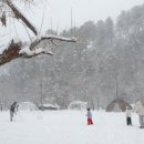 캠프 올모 이미지