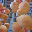 용담농장 이미지