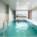 알테르문디 이미지