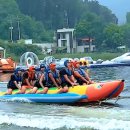 가평 캠프통 포레스트 빠지2탄 이미지