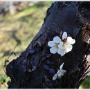 수유마을 이미지