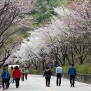 산안2리마을 이미지