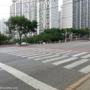 동백초등학교 앞(해송초 방면) | 해운대구 동백초등사거리