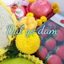 소답동165 | 창원 마산 기념일 선물, 예쁜 꽃과일바구니 달고담 과일상자 첫인사선물/상견례선물 추천!