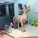 위례밝은아이소아청소년과의원 네이버블로그