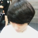 파마와댕기