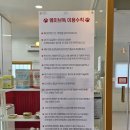 웨이브독 | 대구 경북칠곡애견카페 :: 웨이브독 넓은 실내외 공간과 행복한 강쥐들