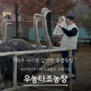 까치말진돗개농장 | 파주아이랑가볼만한곳 우농타조농장 강력추천 내돈내산후기