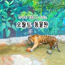 해양사 | 대전 오월드 동물원 생태설명회 운영시간 및 방문 후기