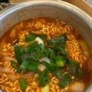 코코 애견 네이버블로그