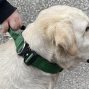 리드생활건강 이미지