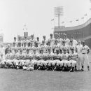 JP Gym(255) 이미지