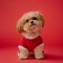 매탄동물병원 이미지