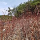 고향산천농장 이미지