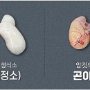 최고복집 이미지