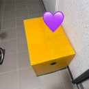 멋쟁이토마토 | 300일 아기 셀프촬영 / 툴리툴리((구)애플비) 멋쟁이토마토 소품 대여 내돈내산 후기