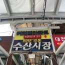 주문진 횟집추천 일출횟집에서 방어회 포장 후기