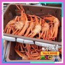 싱싱씨푸드 이미지