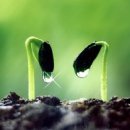 기다리는 마음 이미지