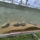 원아농장 이미지