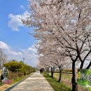 상서재1로 이미지