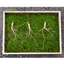 산양농장 이미지