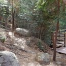 선강(하) 이미지