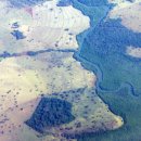 (주)우림바이오 이미지