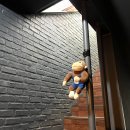 위즈레슬링 이미지