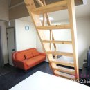 라이즈빌 이미지