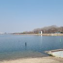 개나리길 이미지