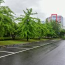 238-운정3-238 이미지