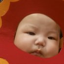 알파오메가 네이버블로그