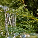 청송한의원 이미지