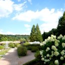 무릉도원 이미지