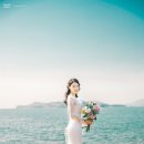 마샬헤어라인 이미지