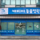 호크종합동물병원 이미지