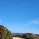 포라이즌 이미지