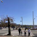 분황로(북) | 경주 3살 아이와 2박3일 여행 ( 기와메밀막국수, 동궁원, 첨성대)