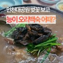 칠갑산능이버섯오리마을 | 인천 백숙 맛집 능이오리 인천대공원 벚꽃 식당 고향집