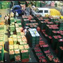 안동청과 이미지