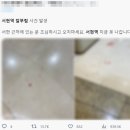 분당서현1-D-2 이미지