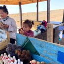 몽골만 3번 갔다온 <b>트랜스</b> 몽골인의 몽골 여행 후기...