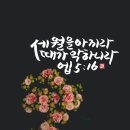 서월 Daum카페