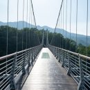 숲속계곡 이미지