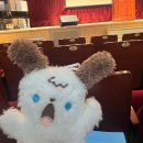 예일여고 | 예일여고 설명회 후기