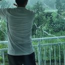 천년나무3단지 앞 이미지